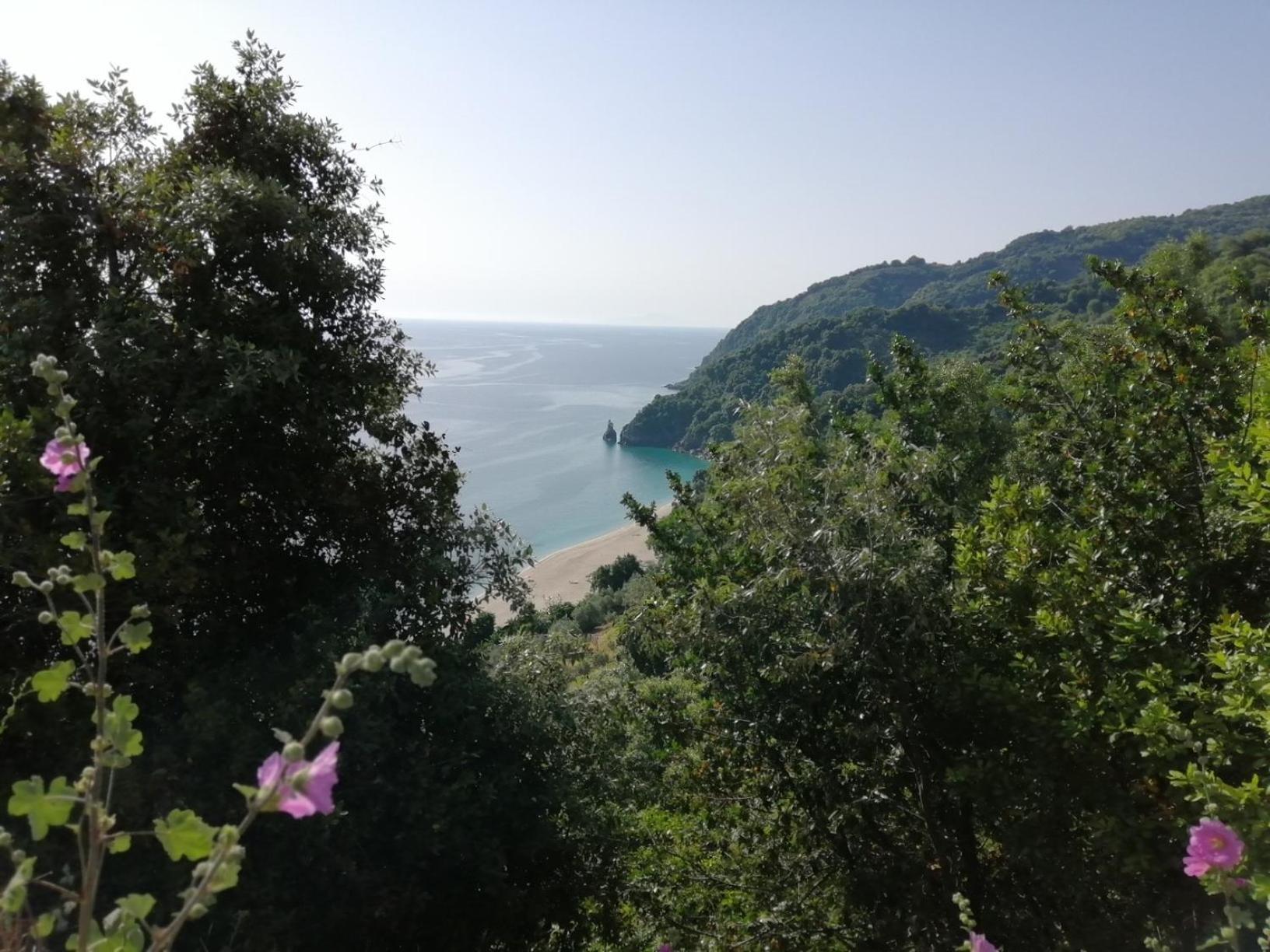 Guest House Pafili 자고라 외부 사진